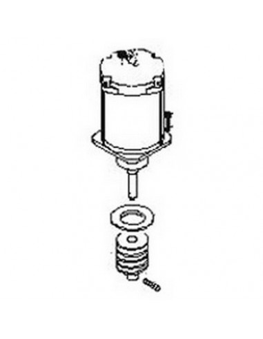 Moteur complet CAME pour BX-241 avec vis sans fin