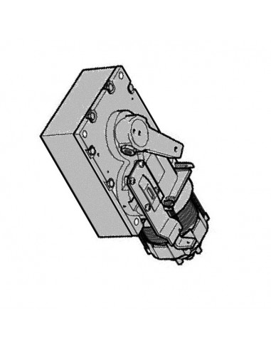 Motoréducteur CAME pour G2500